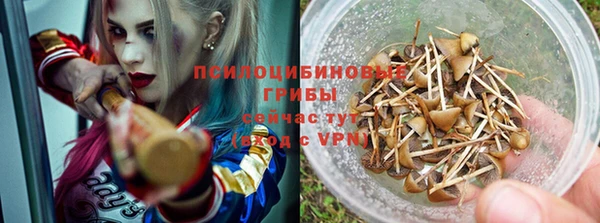 MESCALINE Белокуриха