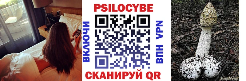 Галлюциногенные грибы Psilocybe  Новое Девяткино 